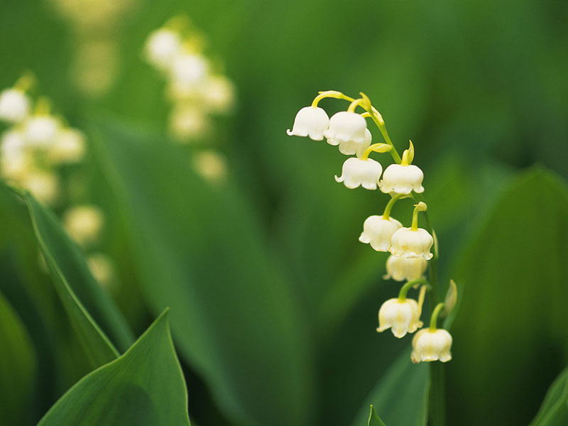 �����񍐎ʐ^