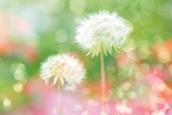 �����񍐎ʐ^